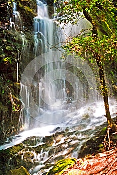 Waterfall in Uvas County Park