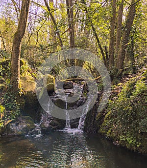 Waterfall of the Vallcarquera creek