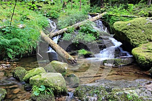 Waterfall of the valley of Munster