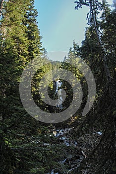 A waterfall view through the trees in Strathcona Provincial Park, BC, Canada