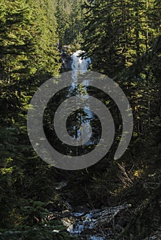 A waterfall view through the trees in Strathcona Provincial Park, BC, Canada