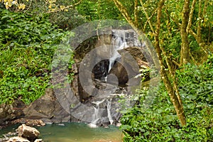Waterfall in tropical forest of Wagamon, Kerala photo