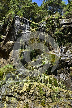 Waterfall in Waitakere Ranges