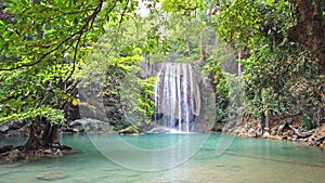 Waterfall water cascade near tree