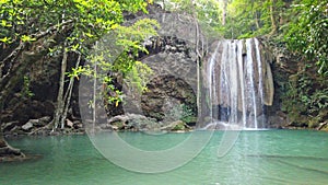 Waterfall water cascade near tree