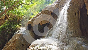 Waterfall water cascade near tree in forest