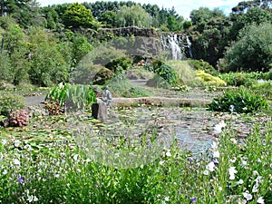 Waterfall in water garden