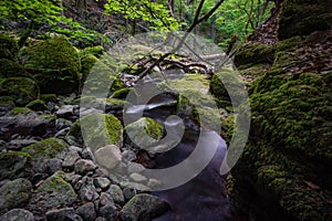 Waterfall water stream in black forest