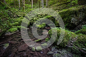 Waterfall water stream in black forest