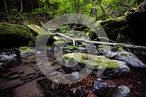Waterfall water stream in black forest