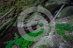 Waterfall water stream in black forest