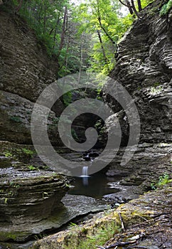 Waterfall in Watkins Glen State Park.