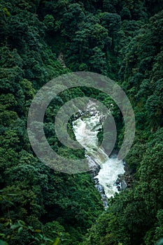 A waterfall, West Sikkim, india