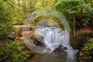 Waterfall at Whatcom Falls Park in Bellingham Washington USA