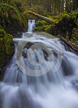 Waterfall on Whidbey Island in Washington photo
