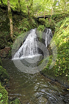 Waterfall the wild swoosh in wild Endertal valley in eifel region (Germany)