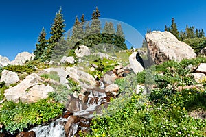 Waterfall and Wildflowers Mountain Landscape