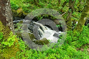 Waterfall in Wood of Cree, Newtown Stewart, Dumfries & Galloway Scotland photo