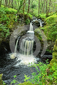 Waterfall in Wood of Cree, Newtown Stewart, Dumfries & Galloway Scotland photo