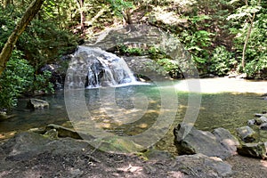 Waterfall in Woods