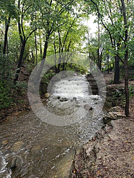 Waterfall  the woods