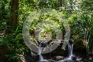 Waterfall through the woods