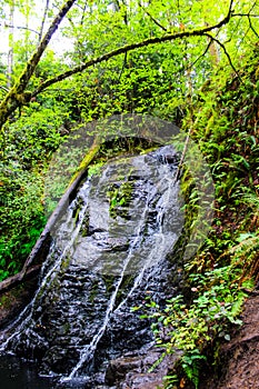 Waterfall in the Forest