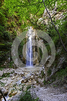 A waterfall in a WWF oasi