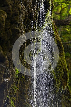 A waterfall in a WWF oasi