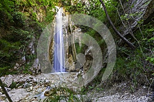 A waterfall in a WWF oasi