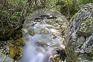 A waterfall in a WWF oasi