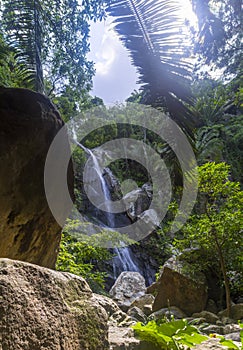 Waterfall in Yelapa,tropical beach in Yelapa, Puerto Vallarta, Mexico