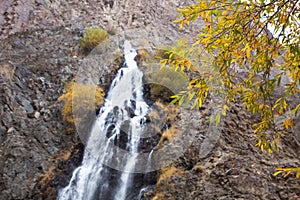 Waterfall and yellow leaves