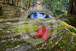 Waterfalls Background with Red Maple Leaf on Rock