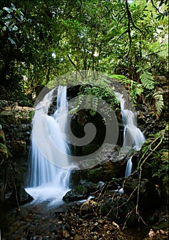 Waterfalls of Bwindi forest. 2