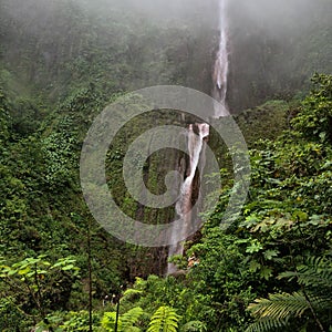 Waterfalls in the carribean. Amazing tropical forest