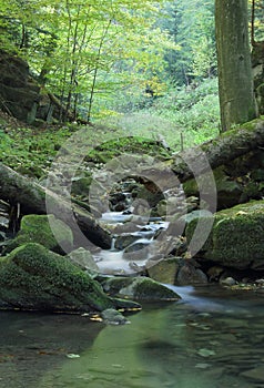 Waterfalls and cascades of the river Satina in the Moravian Beskydy Mountains