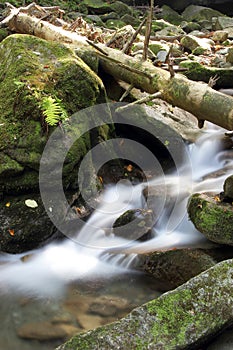 Waterfalls and cascades of the river Satina in the Moravian Beskydy Mountains