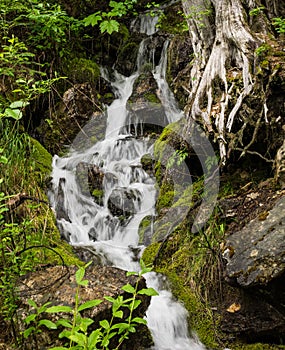 Waterfalls on clear river