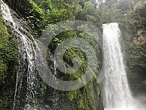 Waterfalls Costa Rica, vara blanca Heredia photo