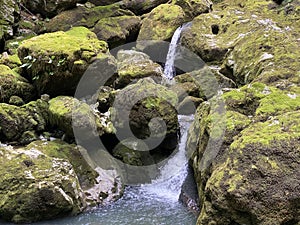 Waterfalls on the Curak stream in the significant landscape Green whirpool - Croatia / Vodopadi na potoku Curak - Gorski kotar