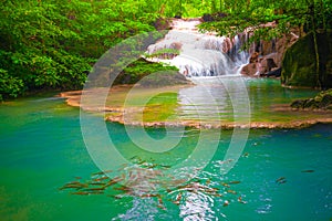 Waterfalls and fish swim in the emerald blue water in Erawan National Park. Erawan Waterfall is a beautiful natural rock waterfall