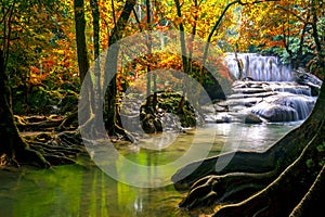 Waterfalls and fish swim in the emerald blue water in Erawan National Park. Erawan Waterfall is a beautiful natural rock waterfall