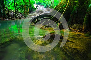 Waterfalls and fish swim in the emerald blue water in Erawan National Park. Erawan Waterfall is a beautiful natural rock waterfall