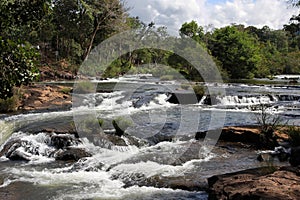 Waterfalls in the forest