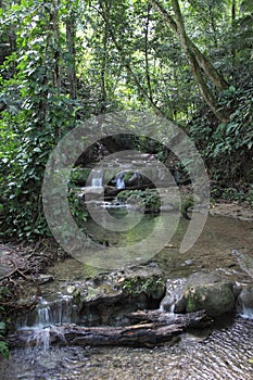 Waterfalls in the forest in Palenque