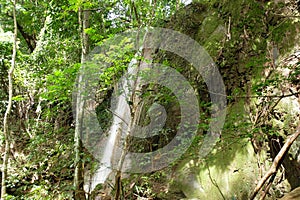 Waterfalls in the forest, Thailand
