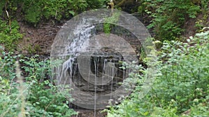 Waterfalls among forest thickets