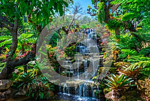 Waterfalls and forests at Tham Pha Daen Temple, Sakon Nakhon Province,Thailand