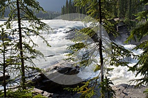 Waterfalls a long a hiking trail in Jasper National Park. Jasper. Alberta. Canada II